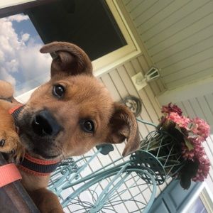 MAKE ME AN OFFER! :)